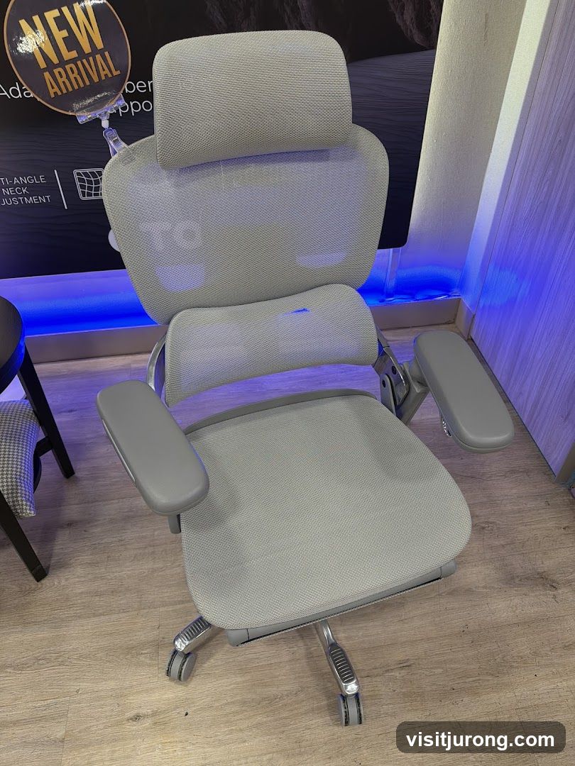 Ergonomic Office Chair