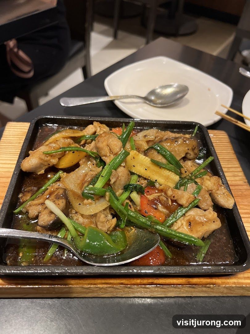 Sizzling Stir-Fry Dish