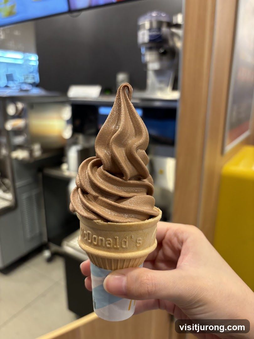 Chocolate Soft Serve Ice Cream Cone
