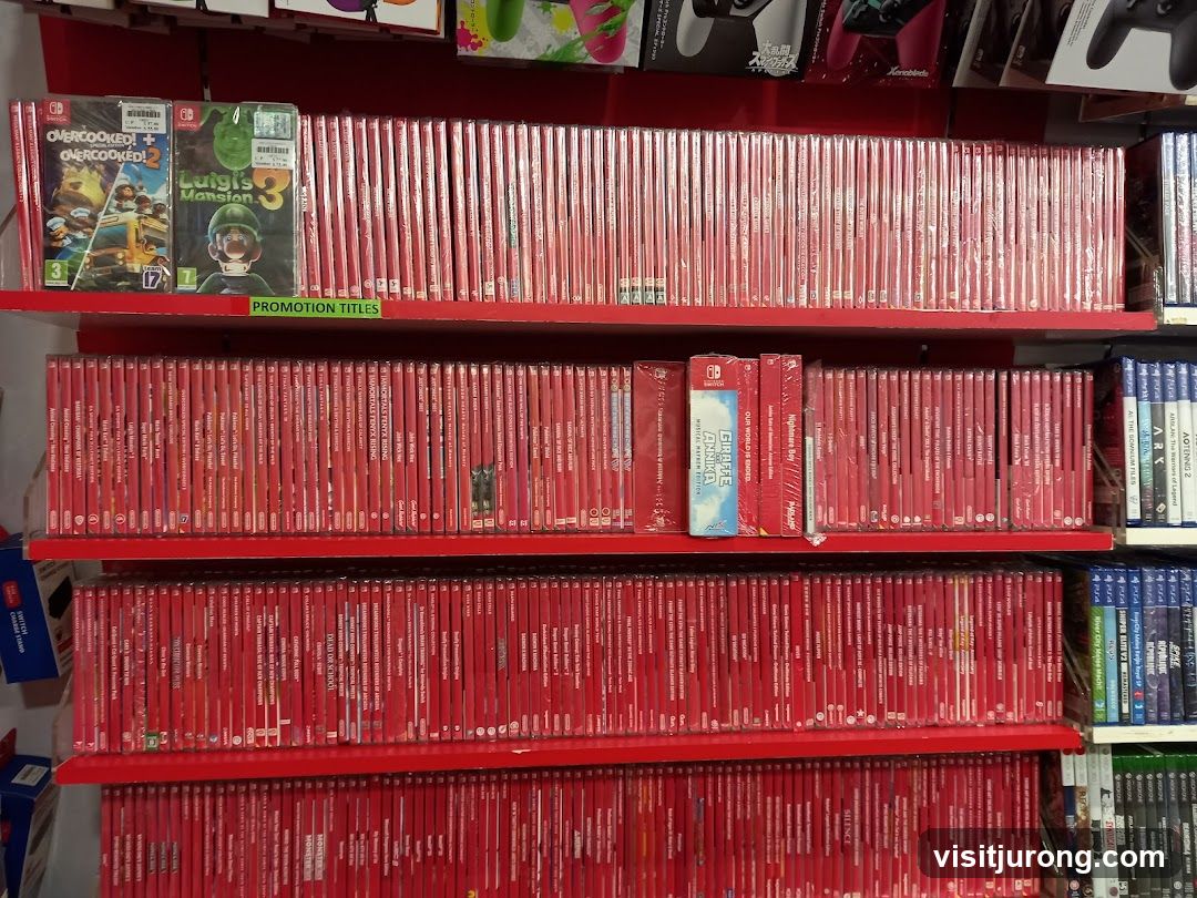 Video Game Shelves