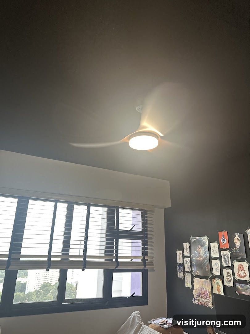 Ceiling fan and window