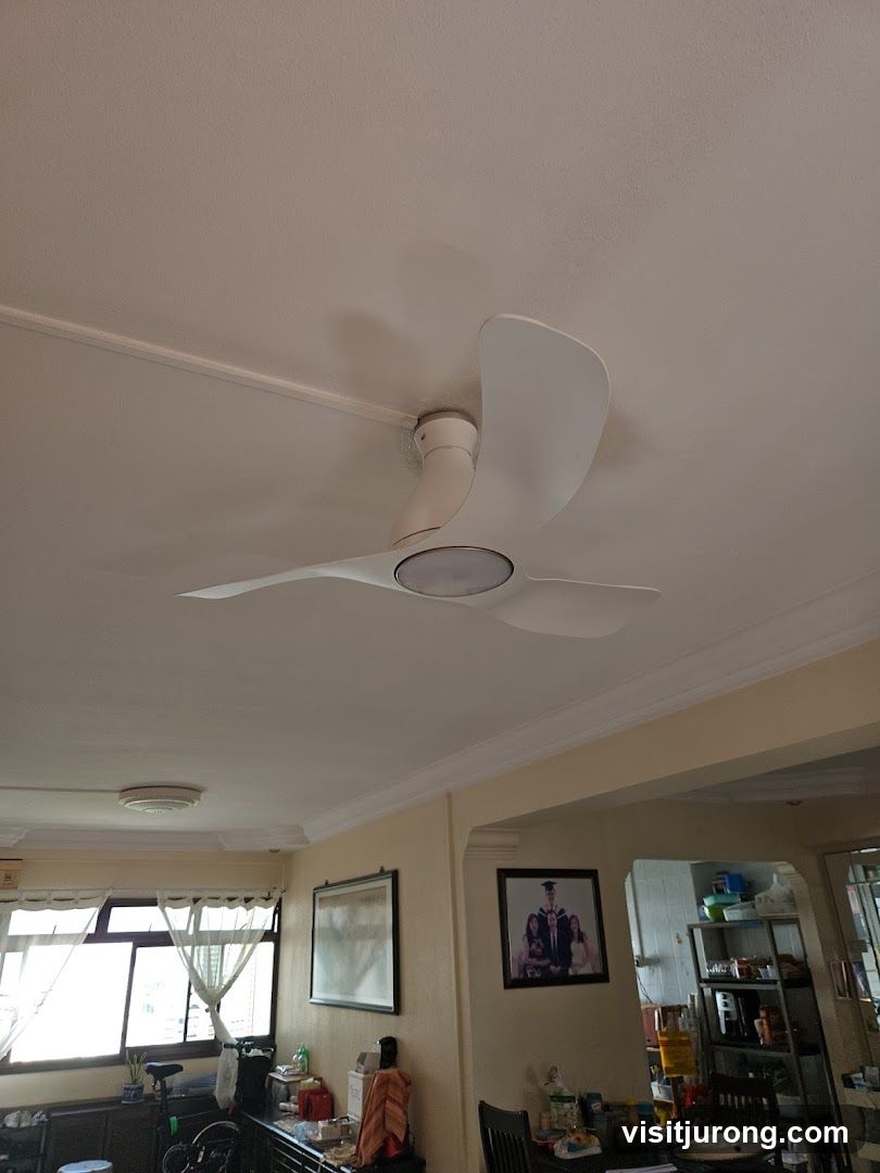 Ceiling Fan and Living Room