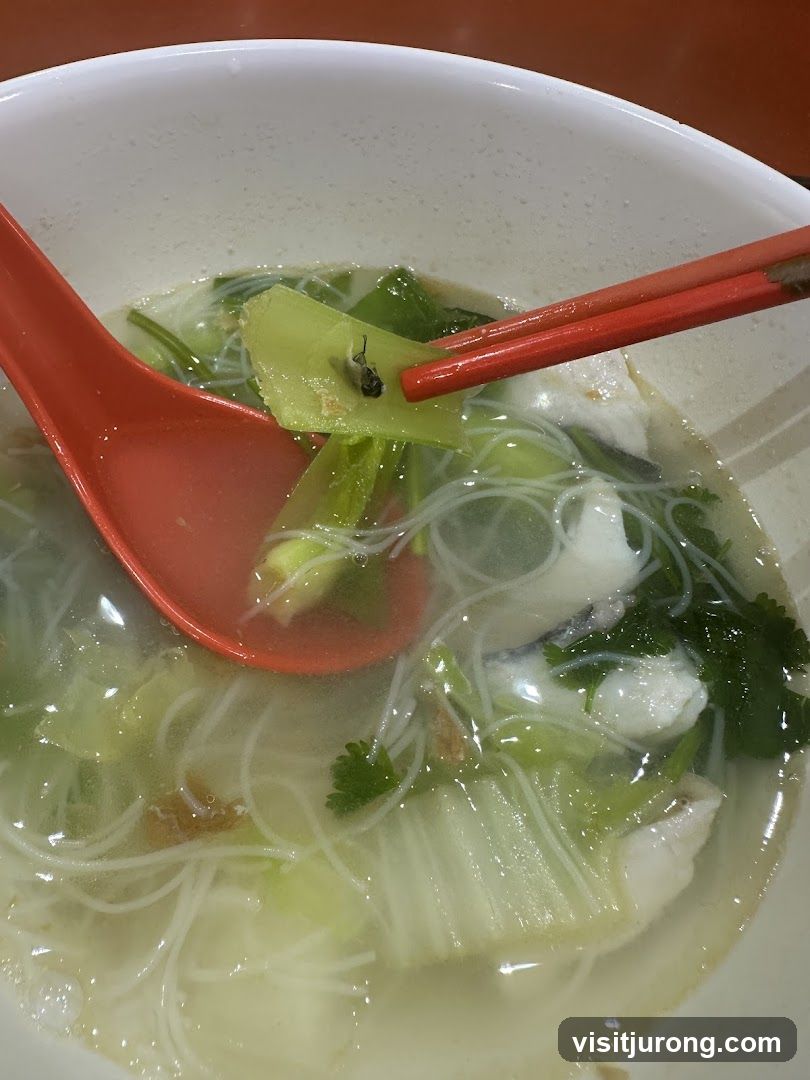 Bowl of noodles with a fly