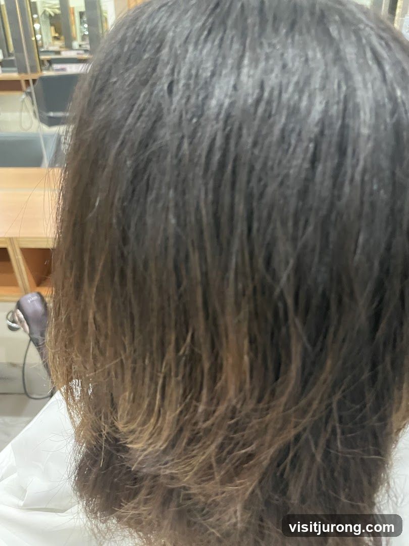 Hairdresser's Chair