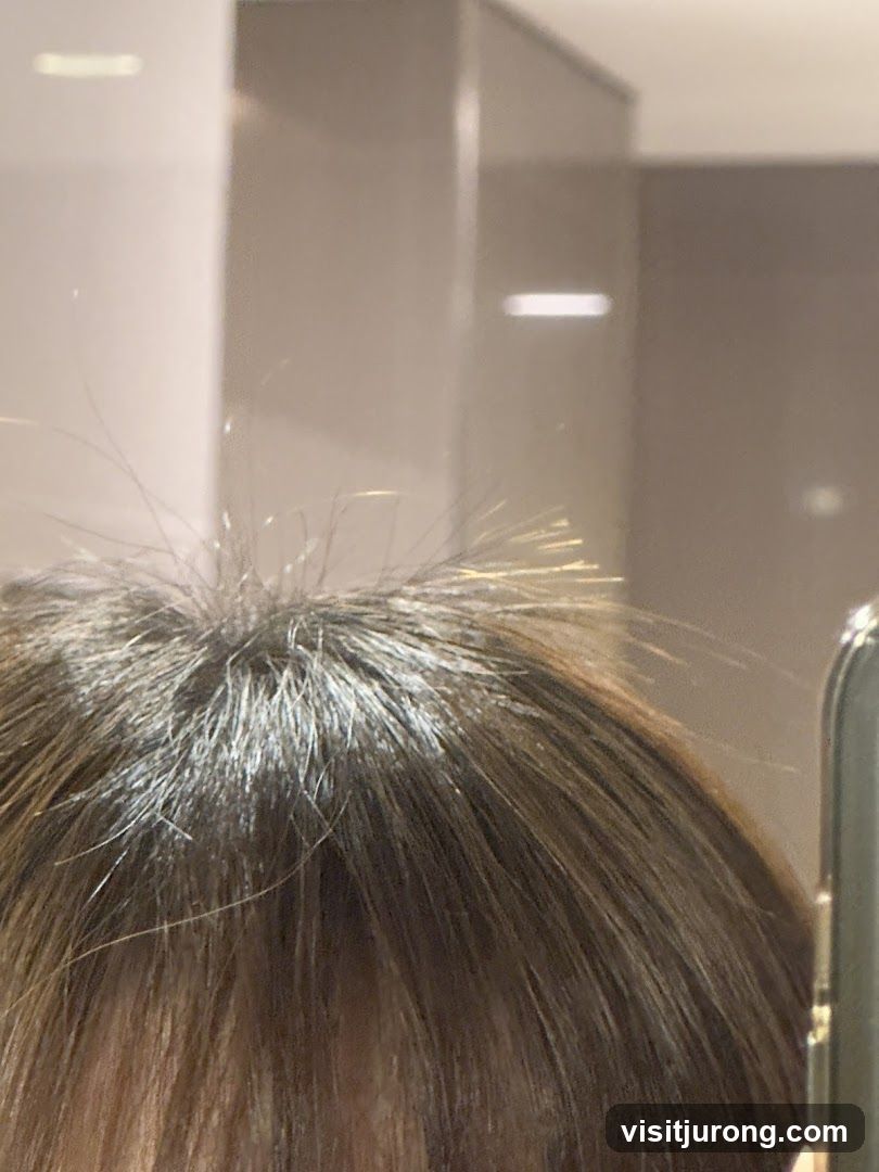 Frizzy Hair