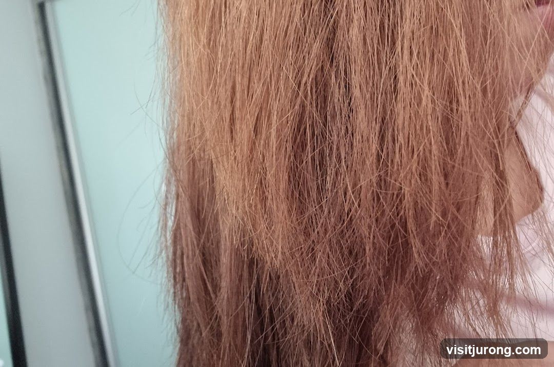 Close-up of Brown Hair