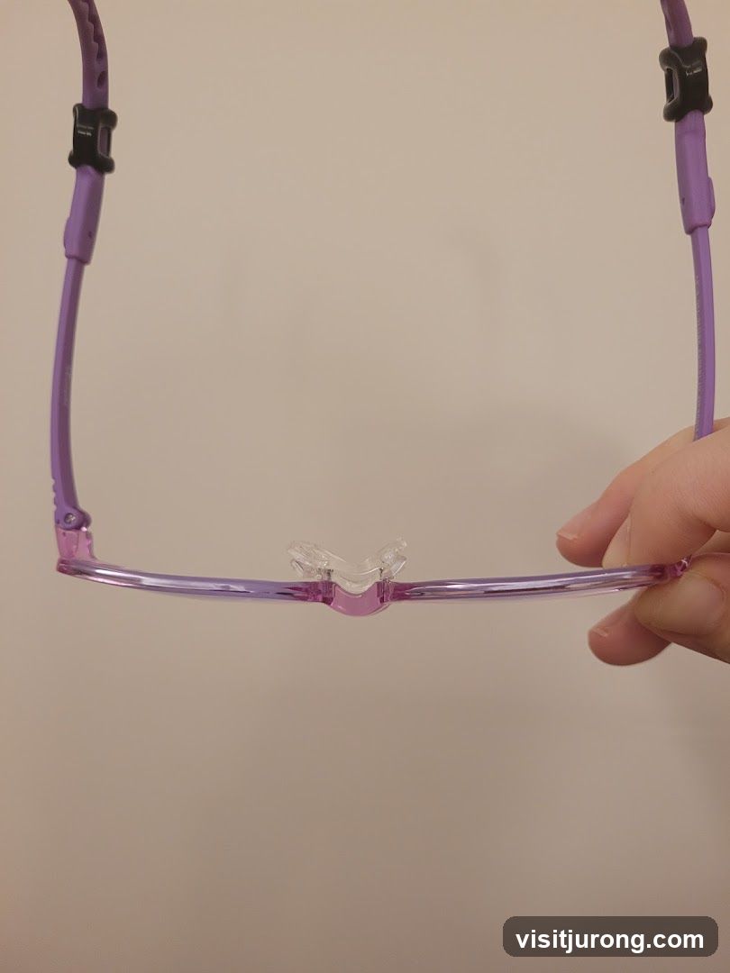Purple Eyeglasses
