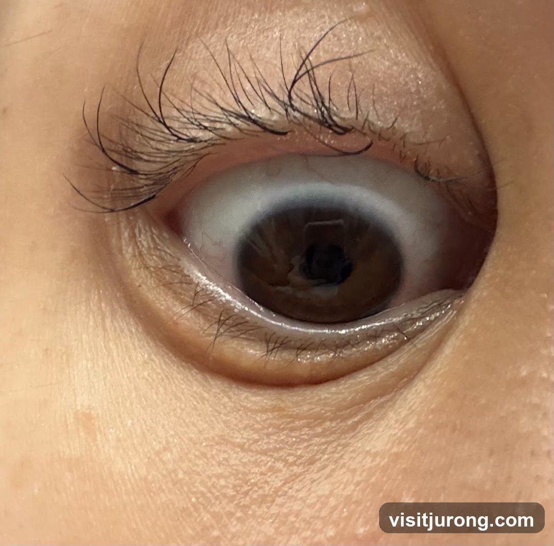 Close-up of an eye