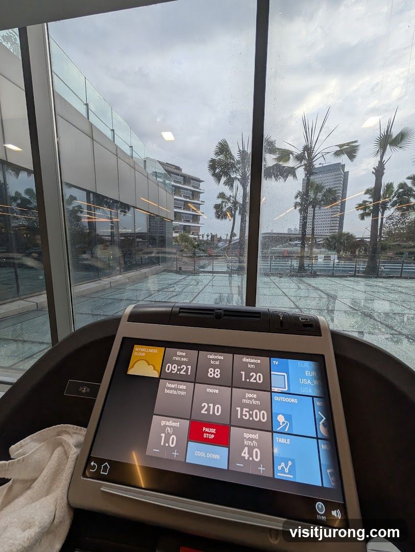 Treadmill Display