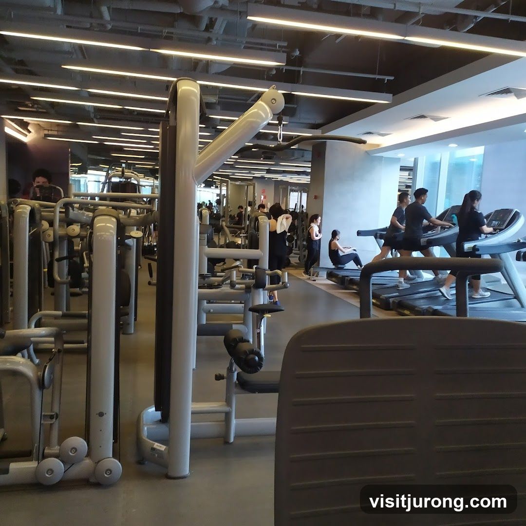 Gym Interior with Treadmills and Weight Machines