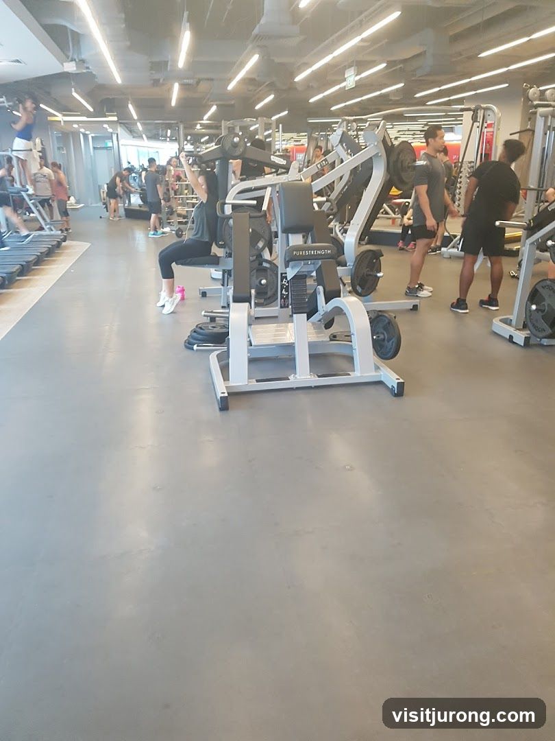 Gym Interior