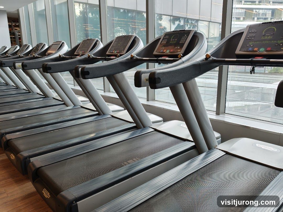 Treadmills in a Gym