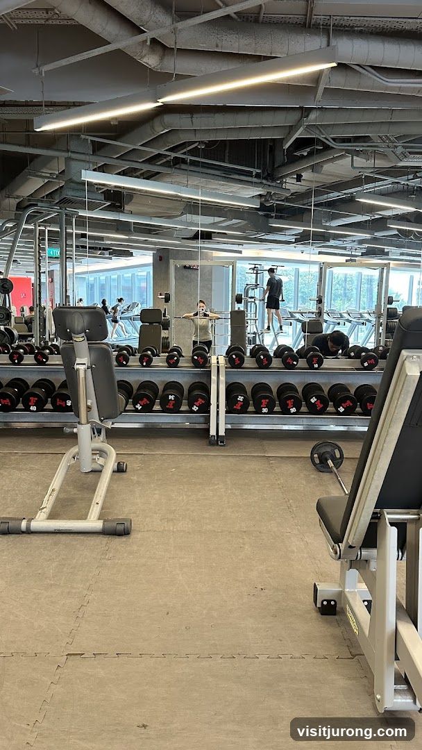 Gym Interior with Dumbbells and Exercise Equipment