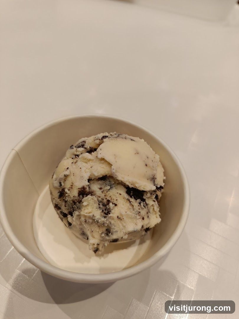 Cookies and Cream Ice Cream