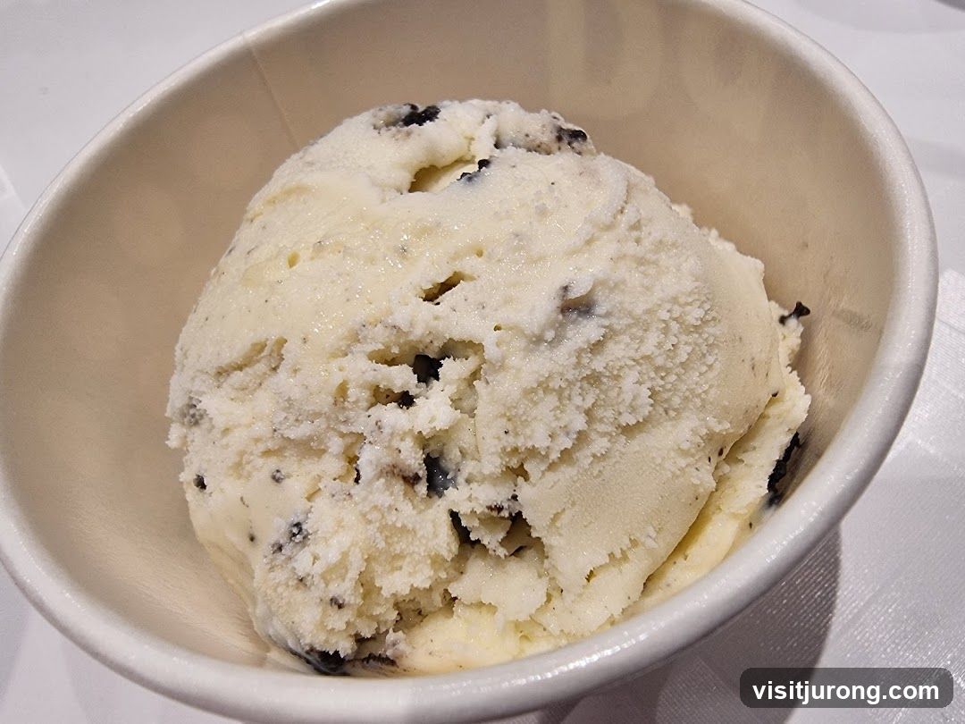 Cookies and Cream Ice Cream