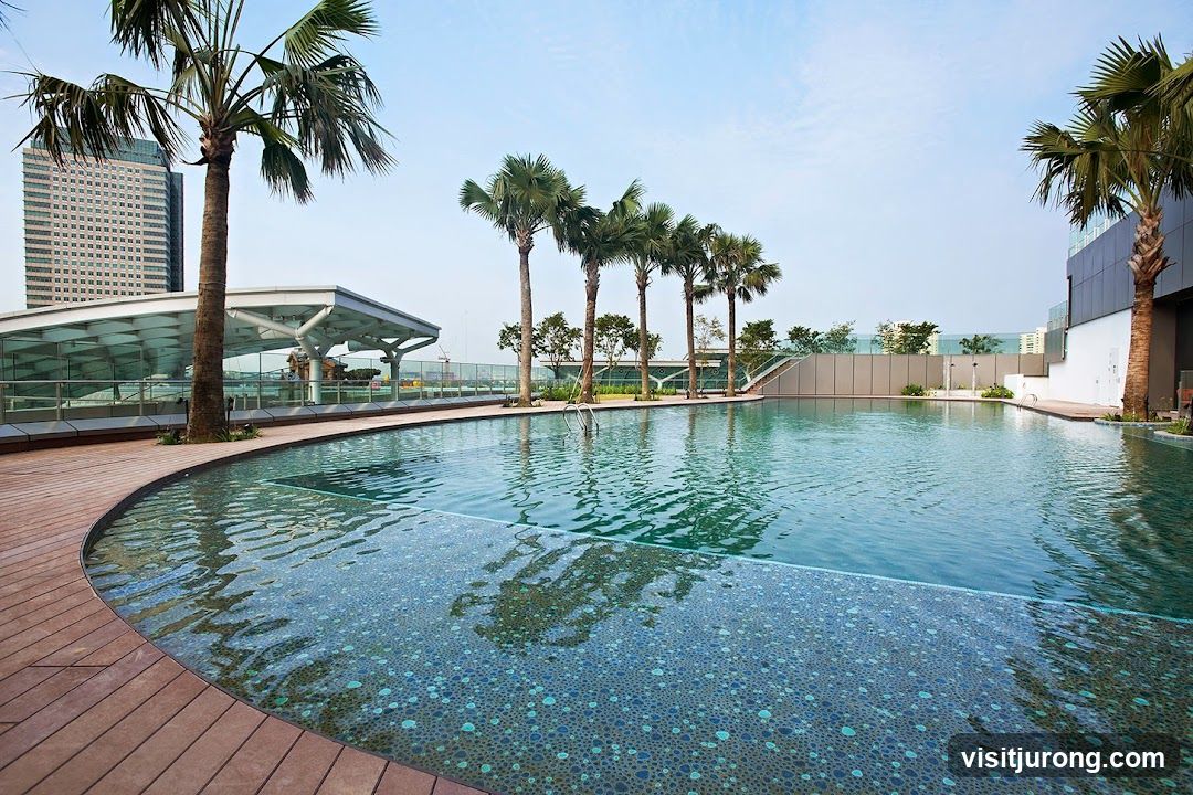 Rooftop Swimming Pool with Palm Trees