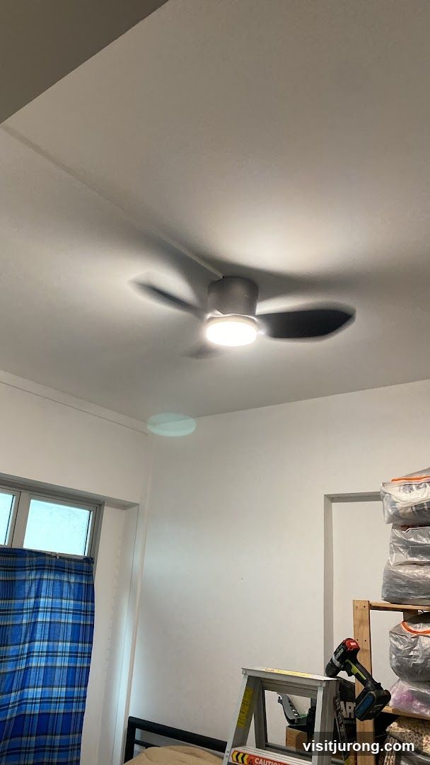 Ceiling fan with light