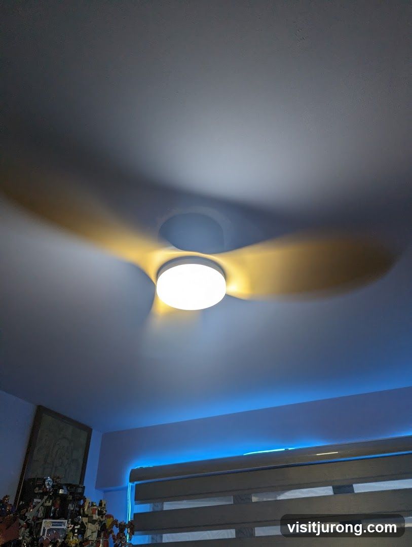 Ceiling fan with light