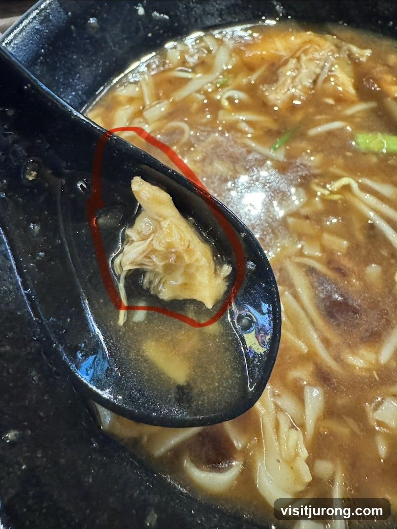 Close-up of Ramen with Shredded Chicken on Spoon
