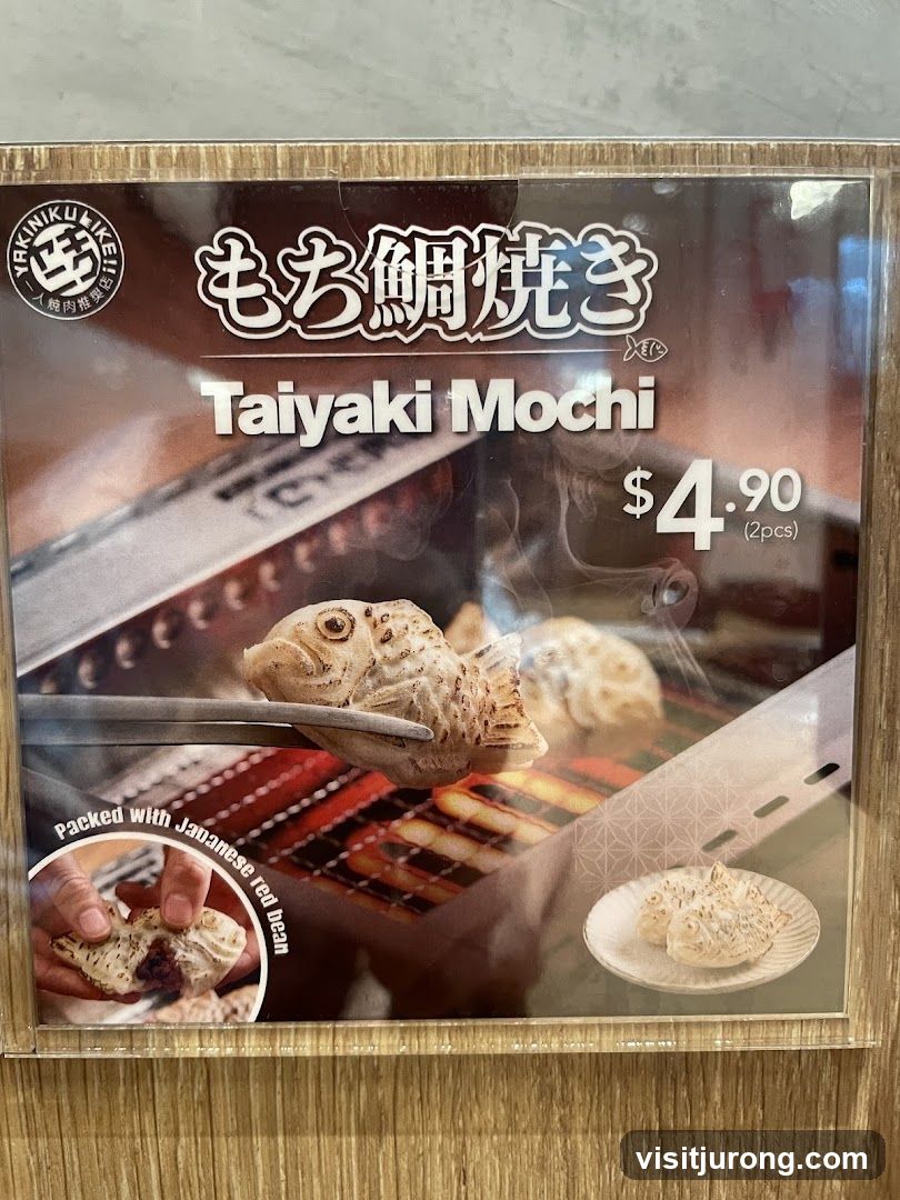 Taiyaki Mochi