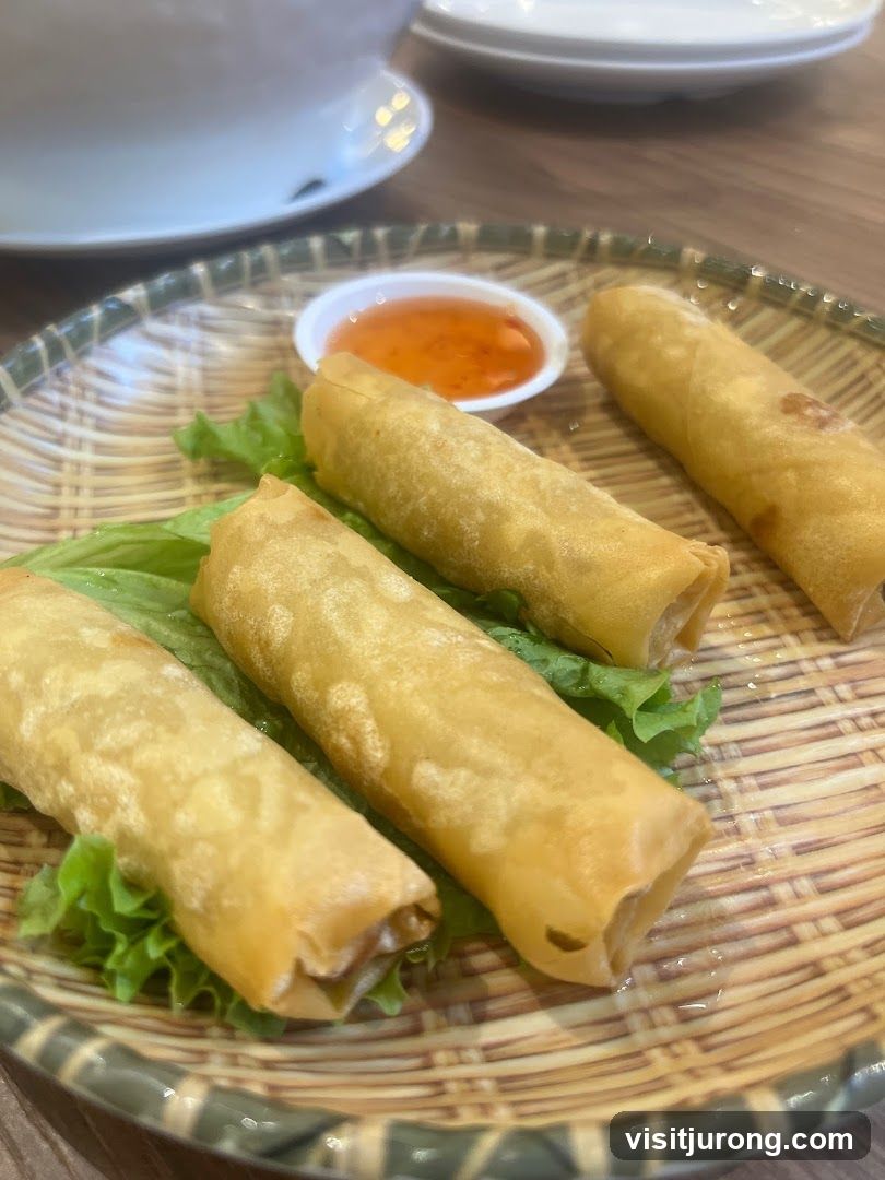 Spring Rolls with Dipping Sauce