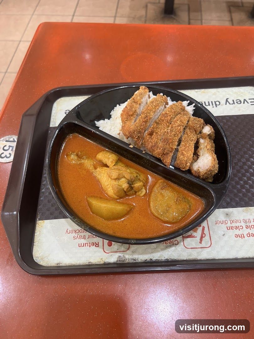 Curry Chicken with Rice and Fried Pork