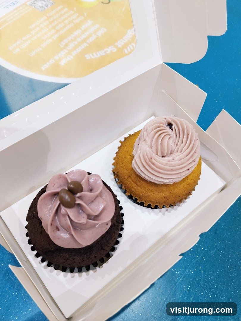 Two Cupcakes in a Box