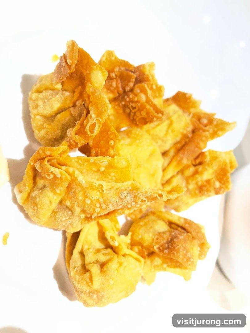 Fried Wontons
