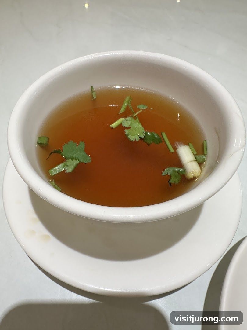 Bowl of Broth with Garnish