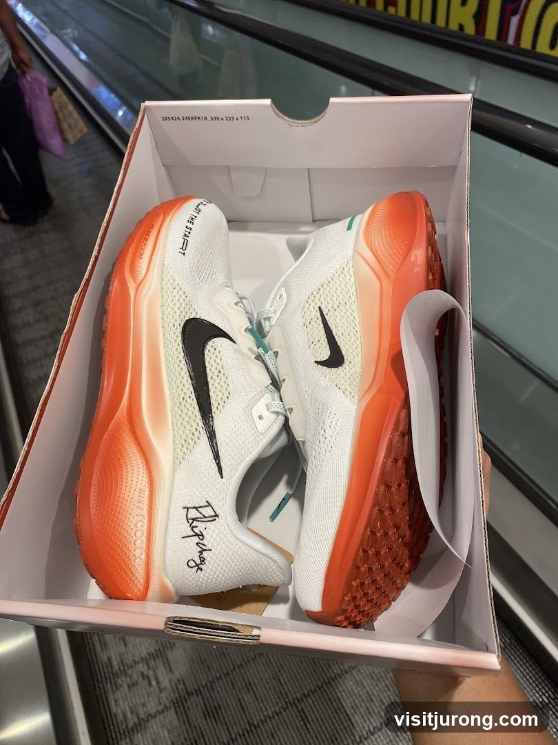 Nike Shoes in Box