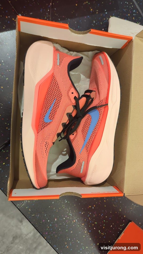 Nike Running Shoes