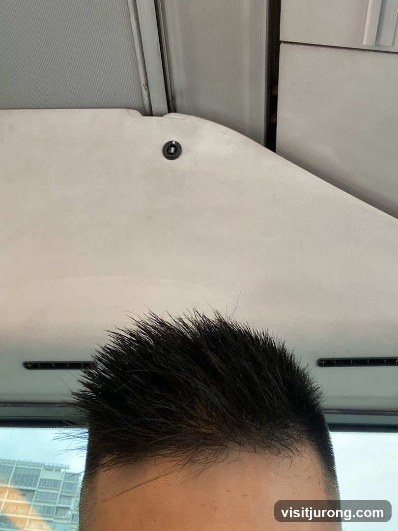 Spiky Hair