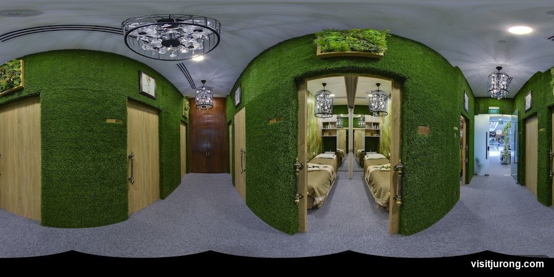 Spa Interior with Green Walls and Treatment Beds