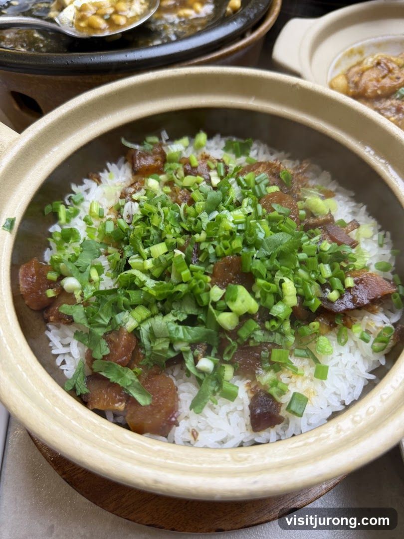 Claypot Rice with Toppings