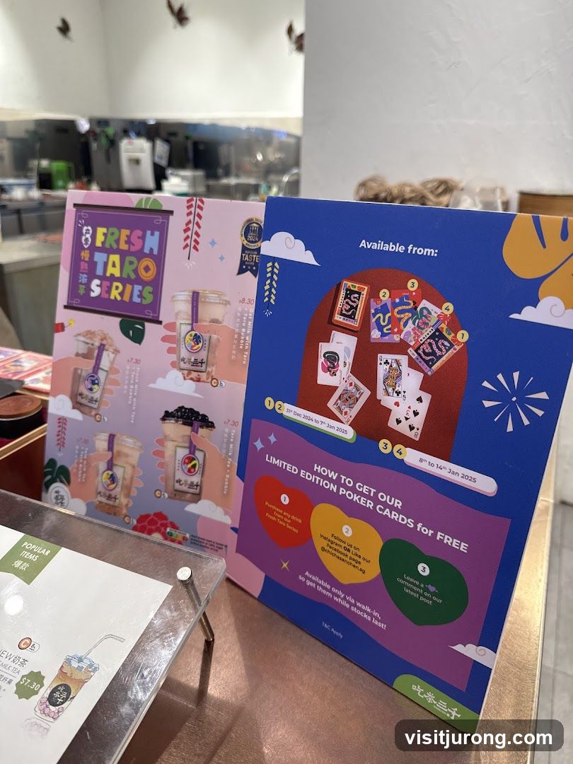 Promotional Flyers