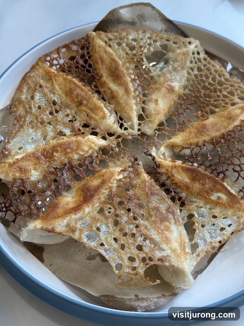 Pan-fried dumplings