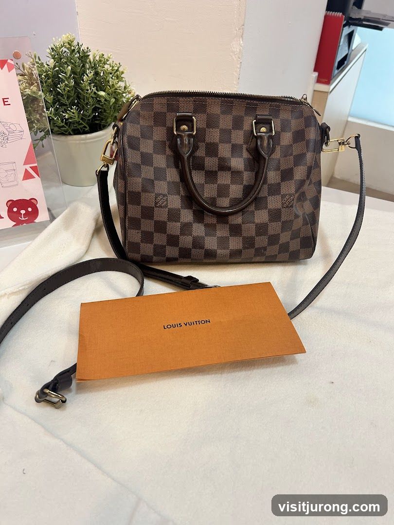 Louis Vuitton Speedy Bag