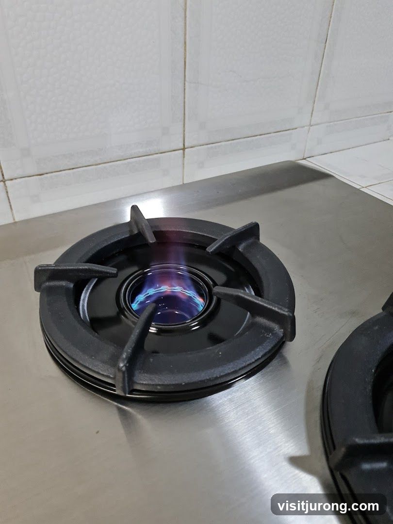 Gas Stove Burner
