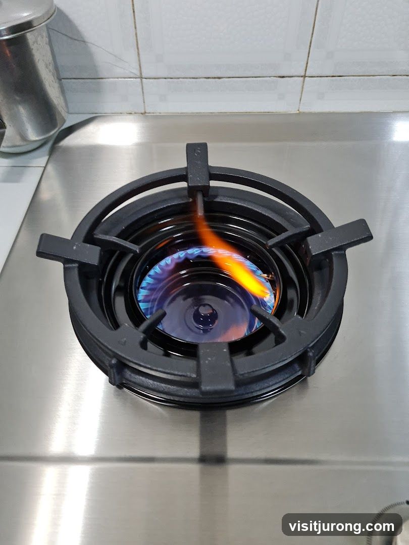 Gas Stove Burner