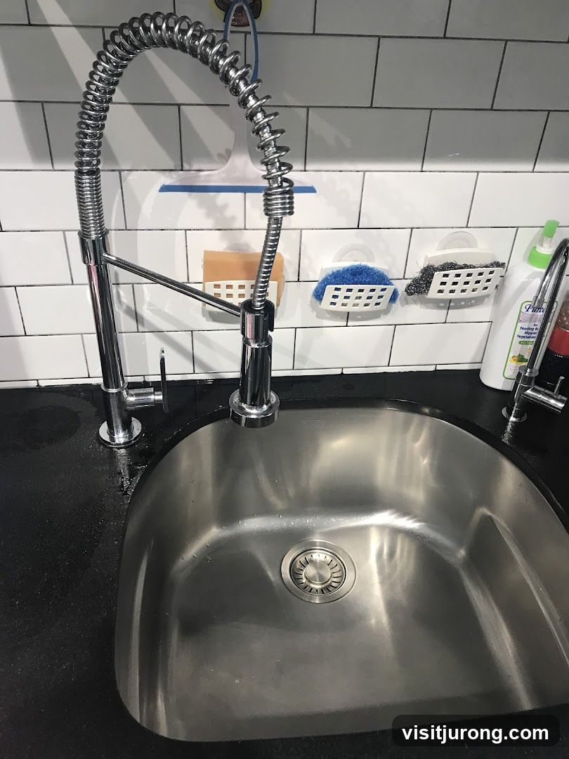 Kitchen Sink and Faucet