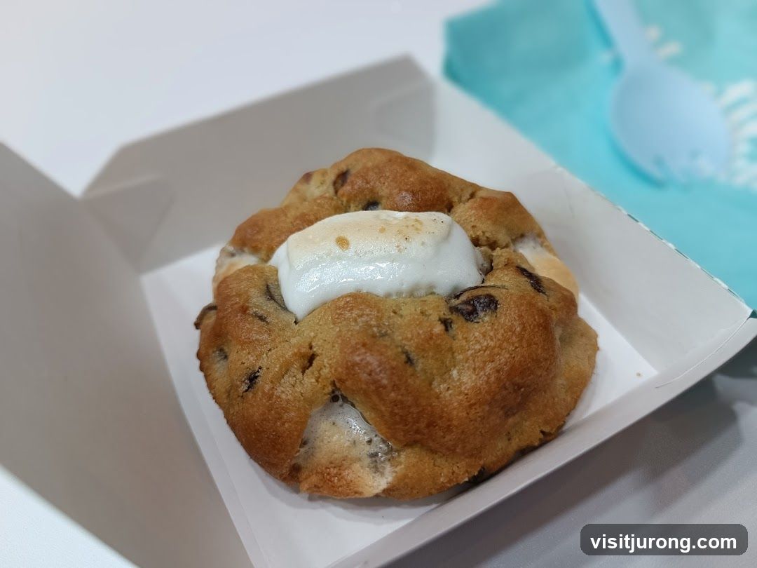 Chocolate Chip Cookie with Marshmallow