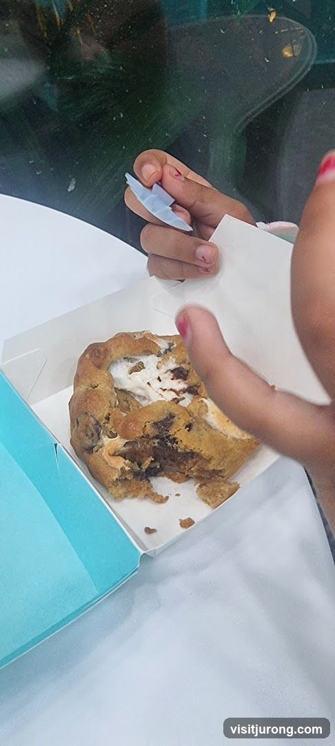 Cookie with Marshmallow and Chocolate Chips