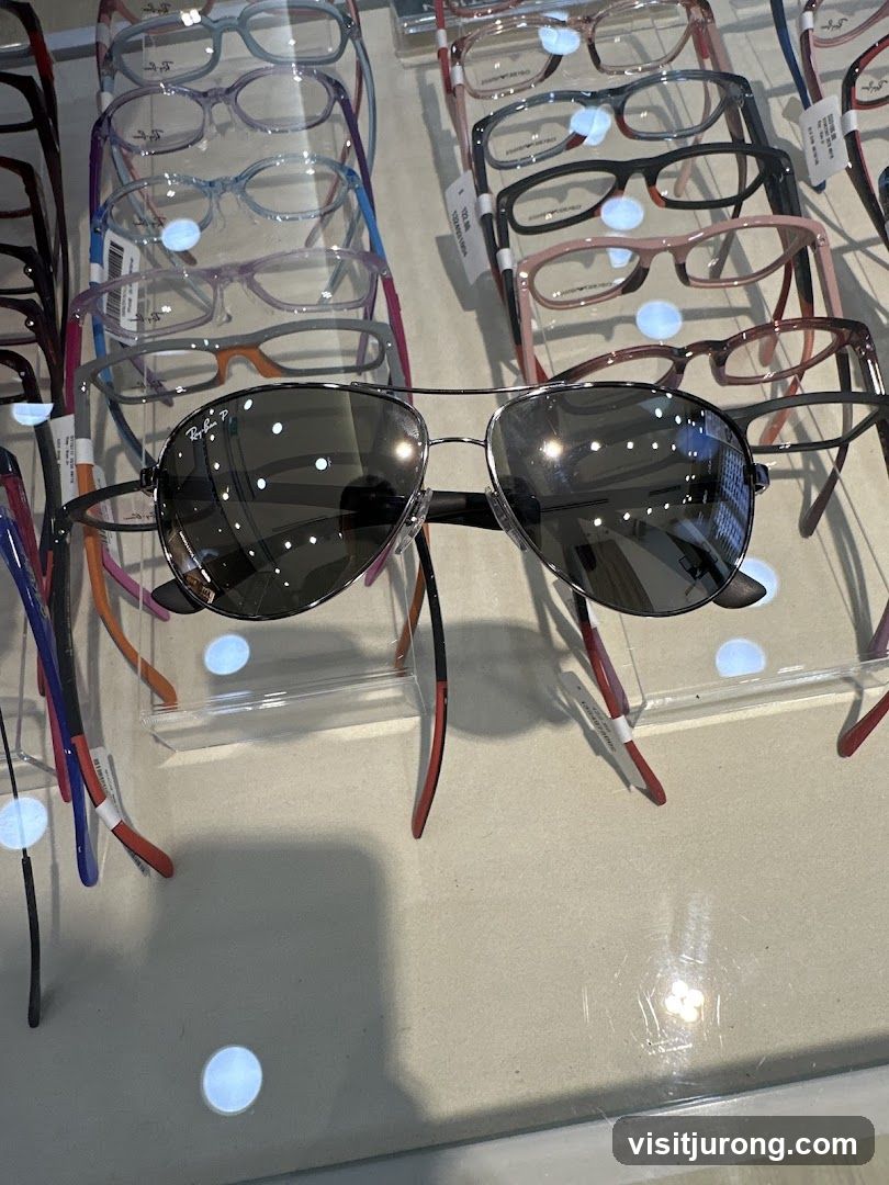 Eyeglasses and Sunglasses Display