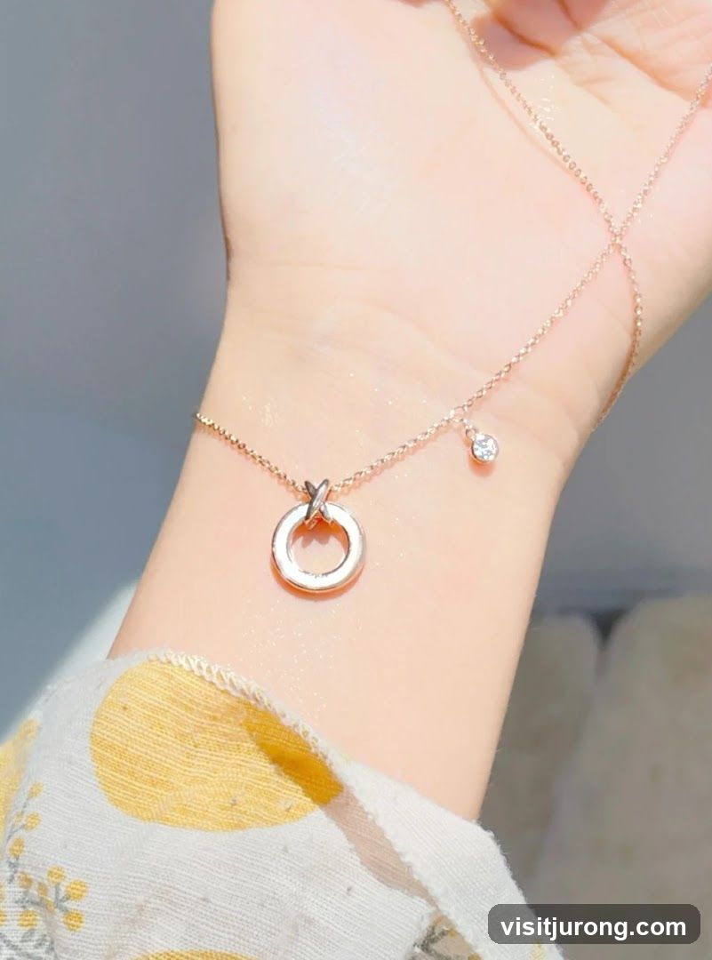 Rose Gold Necklace with Circle Pendant