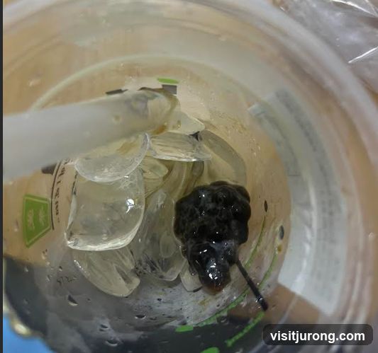 Close-up of a drink with ice and boba