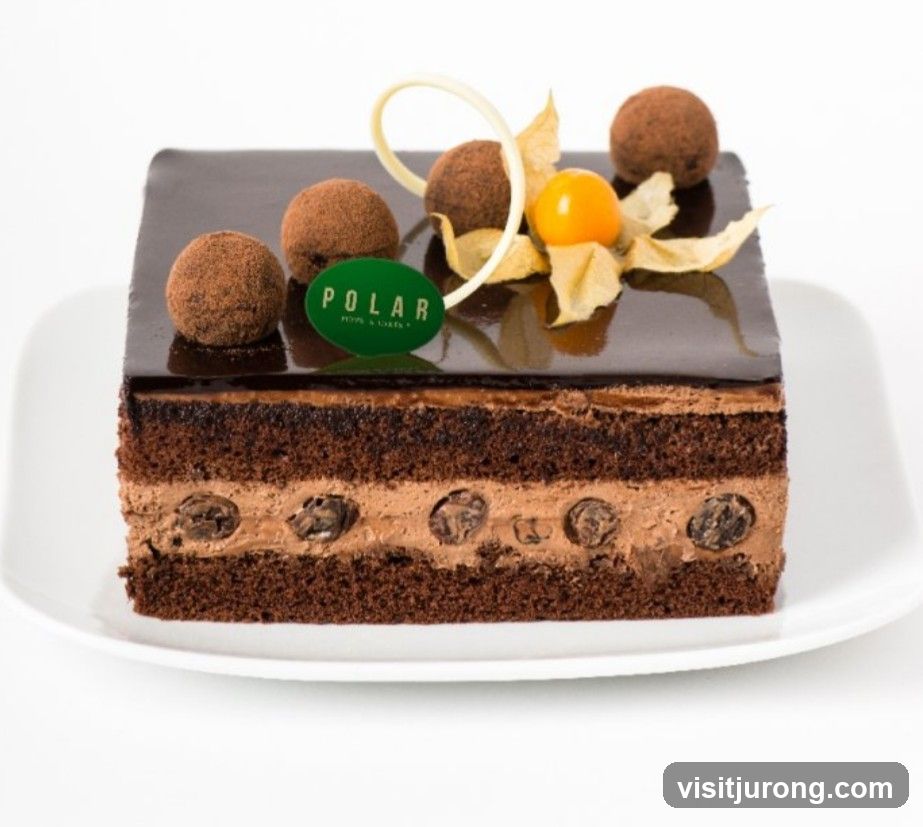 Chocolate Cake Slice