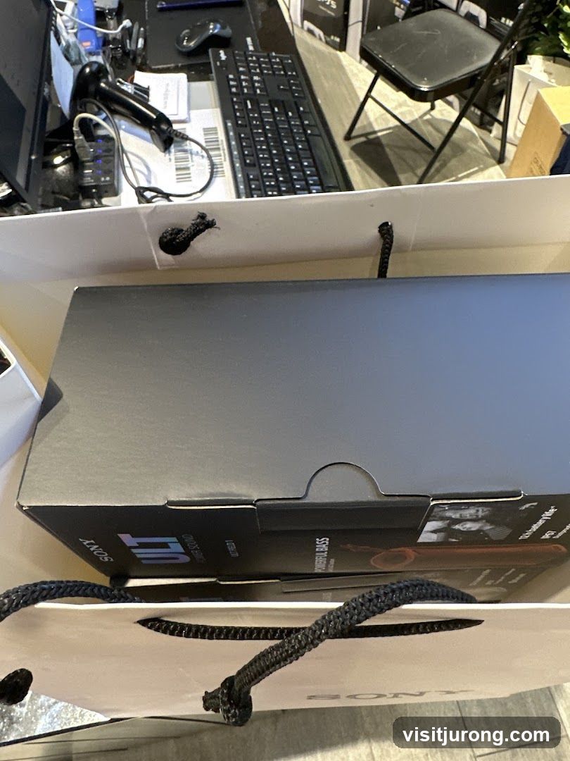 Sony Speaker Box in Shopping Bag