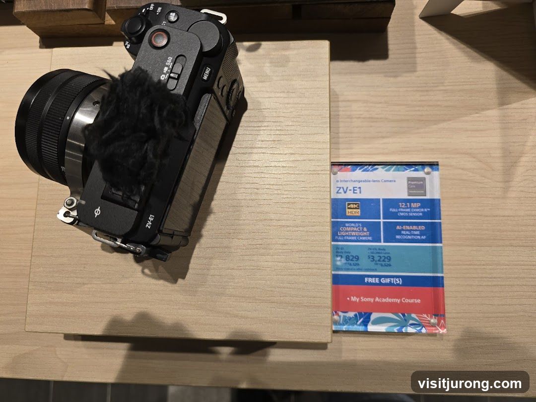 Camera Display