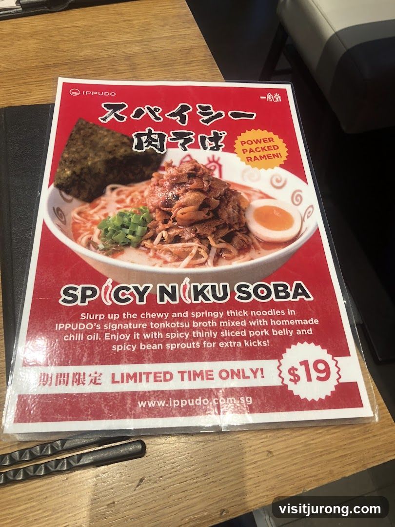 Spicy Niku Soba