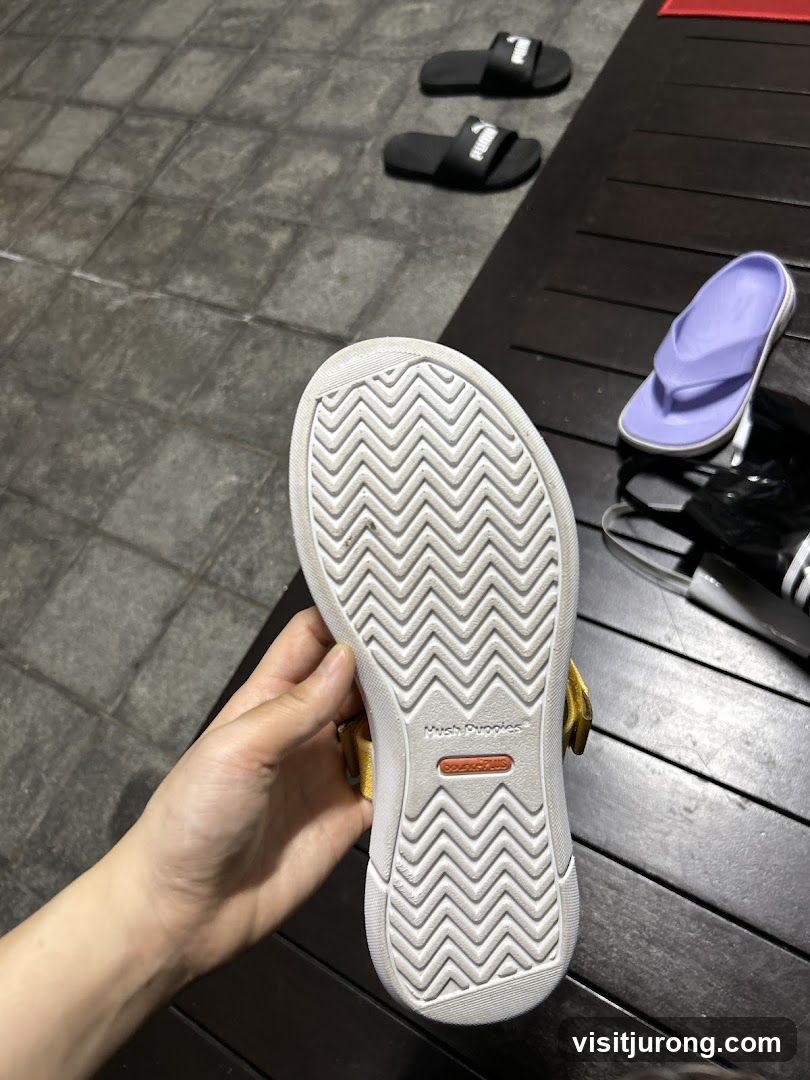 Shoe Sole